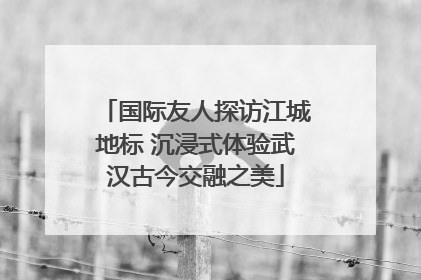 国际友人探访江城地标 沉浸式体验武汉古今交融之美