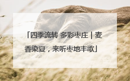 四季流转 多彩枣庄｜麦香染夏，来听枣地丰歌