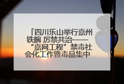 四川乐山举行嘉州铁腕 厉禁共治——“嘉网工程”禁毒社会化工作暨毒品集中销毁启动仪式