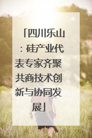 四川乐山：硅产业代表专家齐聚共商技术创新与协同发展