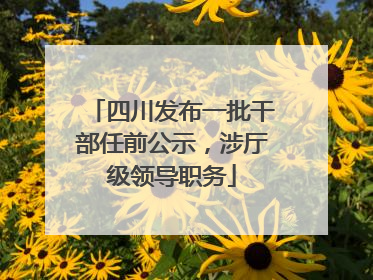 四川发布一批干部任前公示，涉厅级领导职务