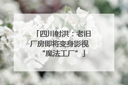 四川射洪：老旧厂房即将变身影视“魔法工厂”