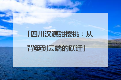 四川汉源甜樱桃：从背篓到云端的跃迁