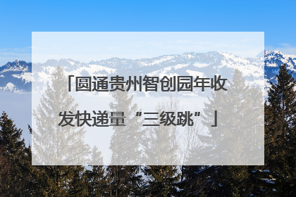 圆通贵州智创园年收发快递量“三级跳”