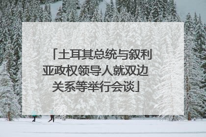 土耳其总统与叙利亚政权领导人就双边关系等举行会谈
