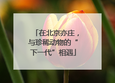 在北京亦庄，与珍稀动物的“下一代”相遇