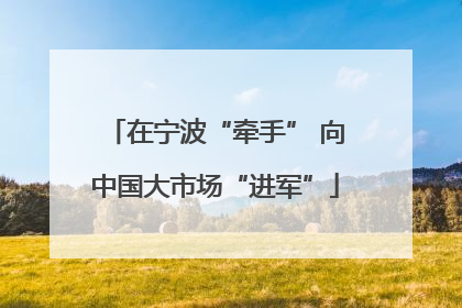 在宁波“牵手” 向中国大市场“进军”