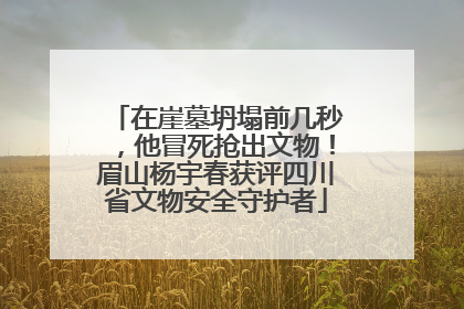 在崖墓坍塌前几秒，他冒死抢出文物！眉山杨宇春获评四川省文物安全守护者