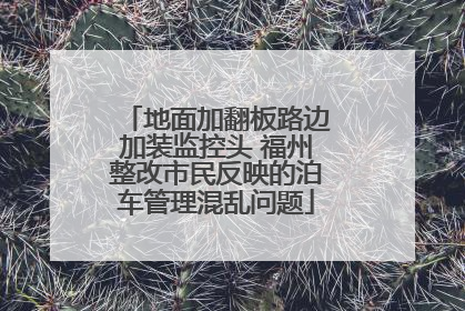 地面加翻板路边加装监控头 福州整改市民反映的泊车管理混乱问题
