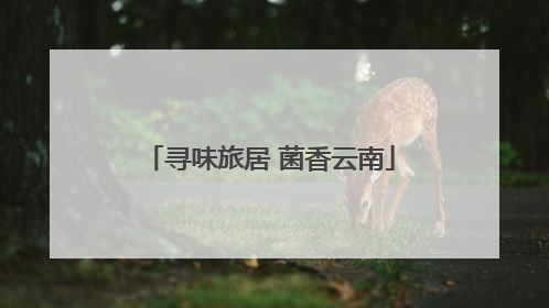 寻味旅居 菌香云南