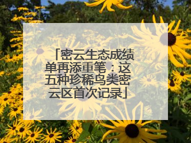 密云生态成绩单再添重笔：这五种珍稀鸟类密云区首次记录