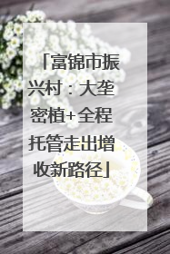富锦市振兴村：大垄密植+全程托管走出增收新路径