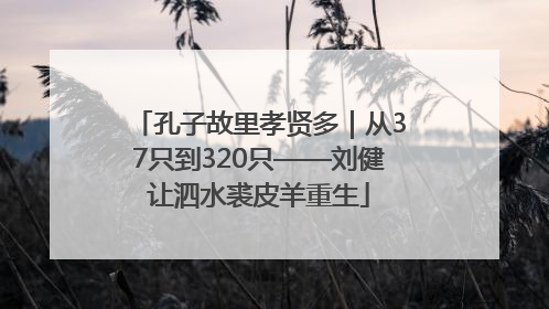 孔子故里孝贤多｜从37只到320只——刘健让泗水裘皮羊重生