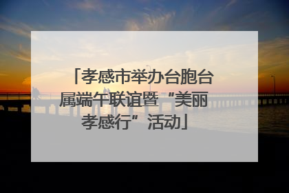 孝感市举办台胞台属端午联谊暨“美丽孝感行”活动