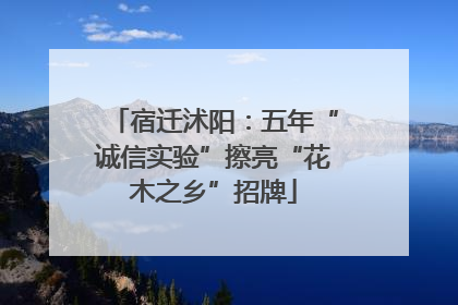 宿迁沭阳：五年“诚信实验”擦亮“花木之乡”招牌