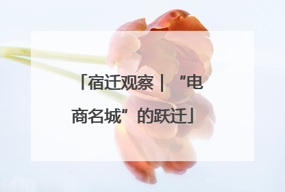 宿迁观察｜“电商名城”的跃迁