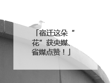 宿迁这朵“花”获央媒、省媒点赞！