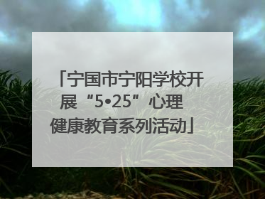 宁国市宁阳学校开展“5•25”心理健康教育系列活动