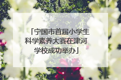 宁国市首届小学生科学素养大赛在津河学校成功举办