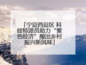 宁夏西夏区 科技特派员助力“紫色经济”酿出乡村振兴新风味