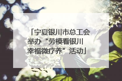 宁夏银川市总工会举办“劳模看银川 幸福微疗养”活动