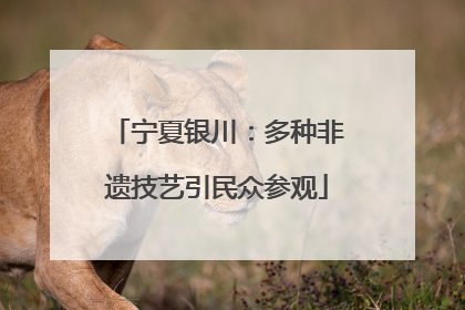 宁夏银川：多种非遗技艺引民众参观