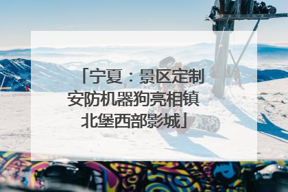 宁夏：景区定制安防机器狗亮相镇北堡西部影城