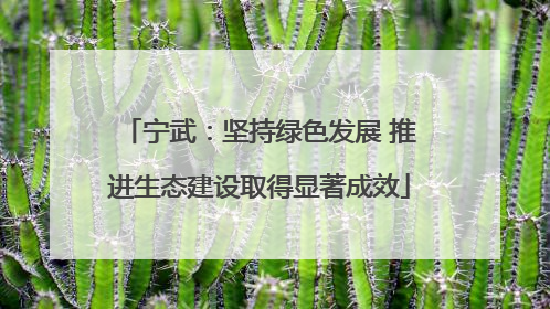 宁武：坚持绿色发展 推进生态建设取得显著成效