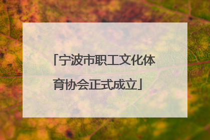 宁波市职工文化体育协会正式成立