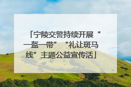 宁陵交警持续开展“一盔一带”“礼让斑马线”主题公益宣传活