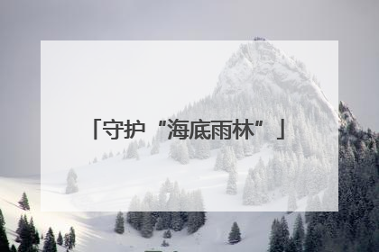 守护“海底雨林”