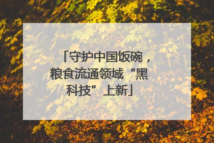 守护中国饭碗，粮食流通领域“黑科技”上新
