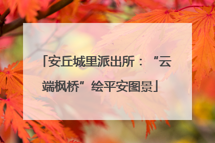 安丘城里派出所：“云端枫桥”绘平安图景