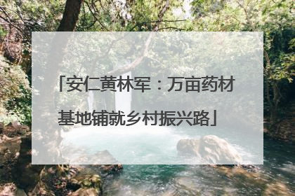 安仁黄林军：万亩药材基地铺就乡村振兴路