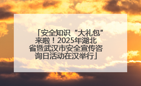 安全知识“大礼包”来啦！2025年湖北省暨武汉市安全宣传咨询日活动在汉举行