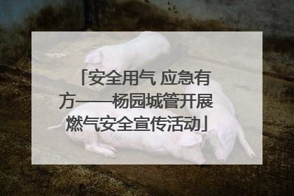 安全用气 应急有方——杨园城管开展燃气安全宣传活动