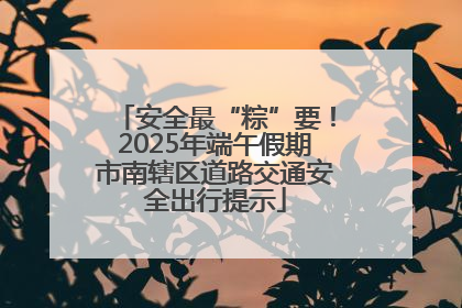 安全最“粽”要！2025年端午假期市南辖区道路交通安全出行提示