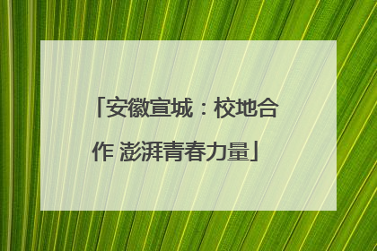 安徽宣城：校地合作 澎湃青春力量