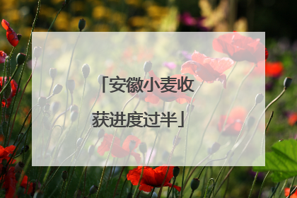 安徽小麦收获进度过半