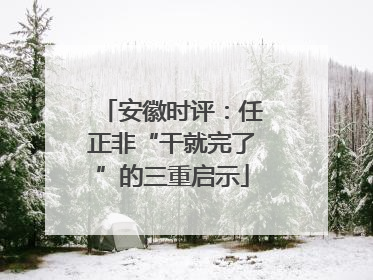 安徽时评：任正非“干就完了”的三重启示