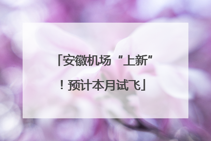 安徽机场“上新”！预计本月试飞