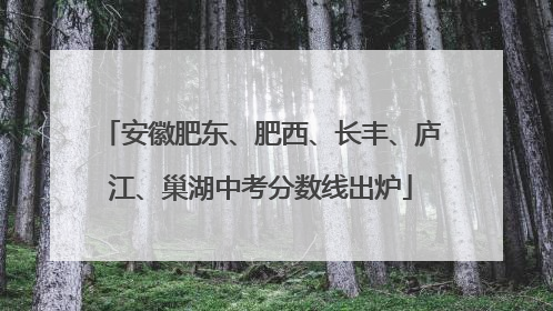 安徽肥东、肥西、长丰、庐江、巢湖中考分数线出炉