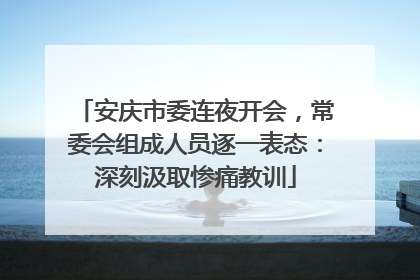 安庆市委连夜开会，常委会组成人员逐一表态：深刻汲取惨痛教训