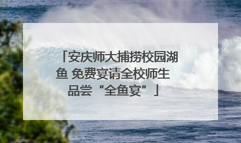 安庆师大捕捞校园湖鱼 免费宴请全校师生品尝“全鱼宴”