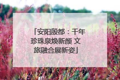 安阳殷都：千年珍珠泉焕新颜 文旅融合展新姿