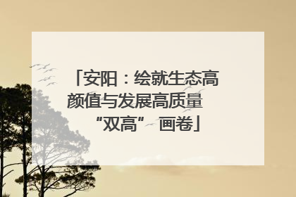 安阳：绘就生态高颜值与发展高质量 “双高” 画卷