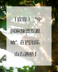 官宣！“中国麻辣烫发源地”在四川乐山五通桥