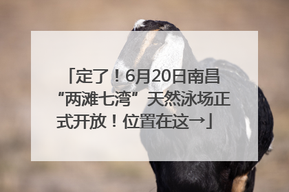 定了！6月20日南昌“两滩七湾”天然泳场正式开放！位置在这→