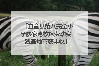 宜章县第八完全小学廖家湾校区劳动实践基地喜获丰收