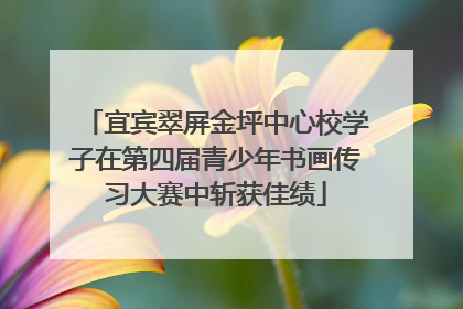 宜宾翠屏金坪中心校学子在第四届青少年书画传习大赛中斩获佳绩